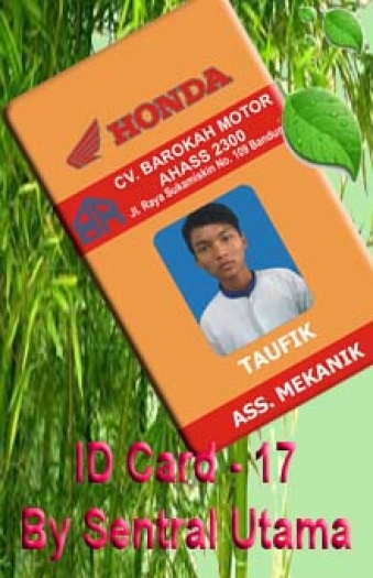 ID Card 17